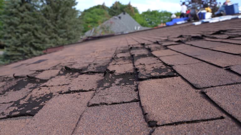 Trusted Plymouth, MI Roofing Service Experts